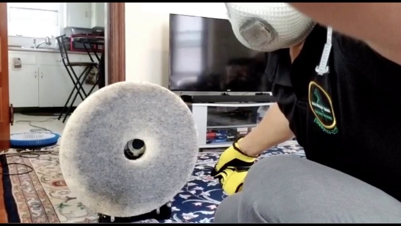 Dirty sofa?? how can i clean upholstery and steam carpet?? YouTube