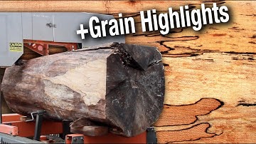Sawing a Big Spalted Maple Log | GRAINIACS #80 | De Oro Tonewood Mill