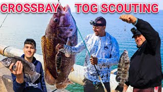 Fun TAUTOG Fishing At Crossbay Bridge