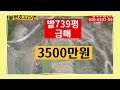 밭739평 급매 3500만원