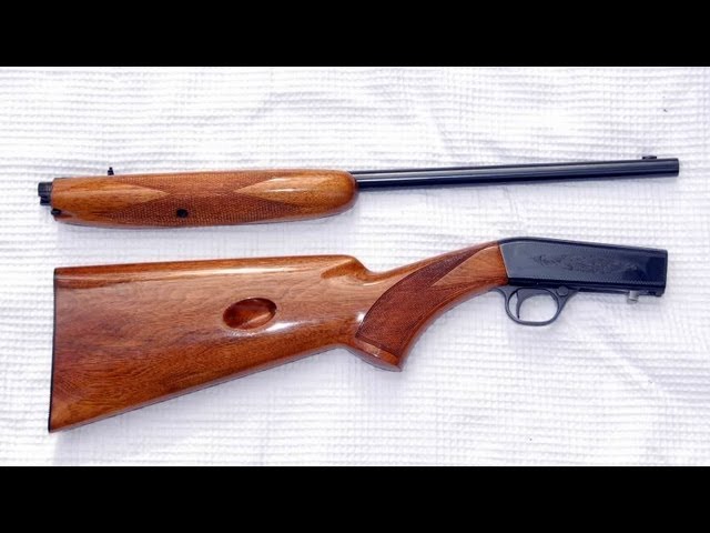 Browning 22 Semi Auto Rifle Youtube