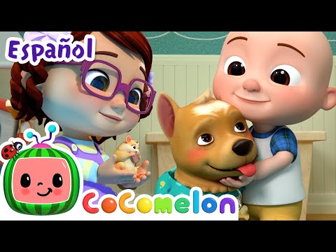 Pet Care  | CoComelon Nursery Rhymes & Kids Songs