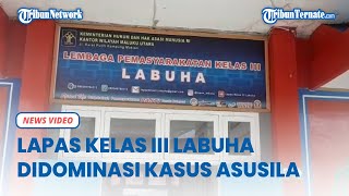 Lapas Kelas III Labuha Halmahera Selatan Paling Banyak Dihuni Pelaku Kasus Asusila, Ini Jumlahnya