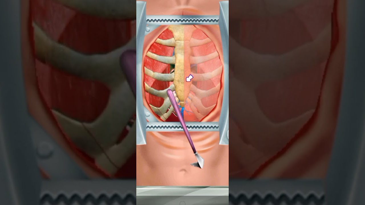 fever of a man and ingredients of bectaria 