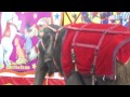 Cole Bros Circus 5/24/11-1345 Phillipsburg NJ  Beginning of Elephant Rides