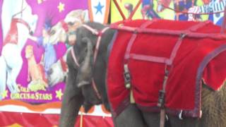 Cole Bros Circus 52411-1345 Phillipsburg Nj Beginning Of Elephant Rides
