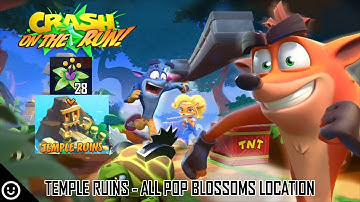 CRASH ON THE RUN! Guide - Temple Ruins - All Pop Blossoms Location
