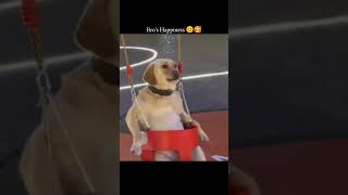 Cute boys happiness.Subscribe for more such content #shortsviral #shortvideo #viral