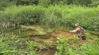 Fishing Gribben Creek in Minnesota