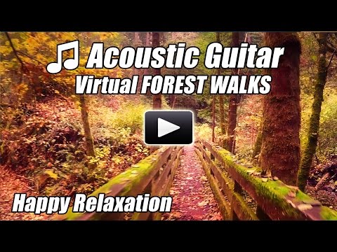 Acoustic Guitar Instrumental Virtual Walking Tour FOREST WALKS Treadmill Video Walk at home Relax