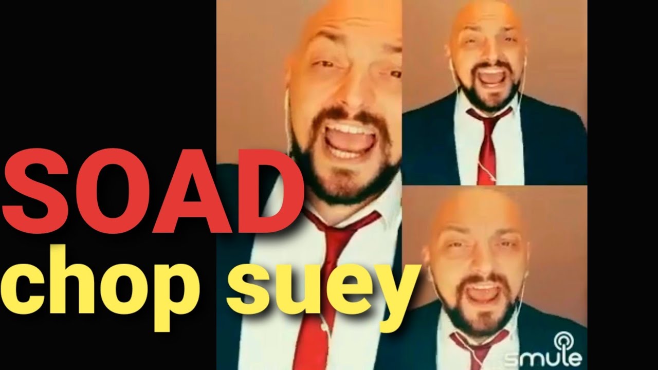 system of a down chop suey (happy version covered by Melodica bros