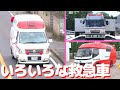 【のりもの図鑑】いろいろな救急車（救急車、スーパーアンビュランス、消防救急車｜はたらくくるま）