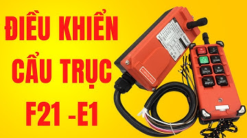 Điều khiển cẩu trục không dây F21 E1 Tu Dien DITICO