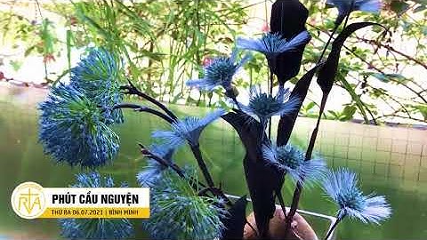 Phút Cầu Nguyện, Thứ Ba 06/07/2021: Đừng Mang Oán Hận Xuống Mồ