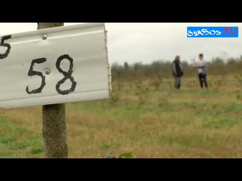 გურიის ახალი ამბები – რეკომენდირებულია თუ არა აზიური ფაროსანას წინააღმდეგ ავიაციის გამოყენება