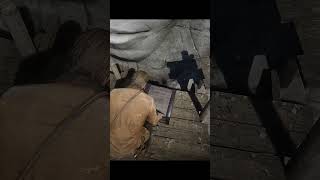 One of The Best Secret Loot Location #reddeadredmption2 #rdr2 #reddeadredemption#gaming#arthurmorgan