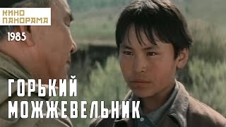 Горький можжевельник (1985 год) военная драма