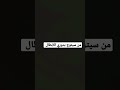 عصام الشوالي يحذر الستي من الأنتر 