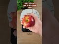 كيف شكل ال100 سعرة حرارية من التفاح كيف شكل ال100 سعرة حرارية من التفاح