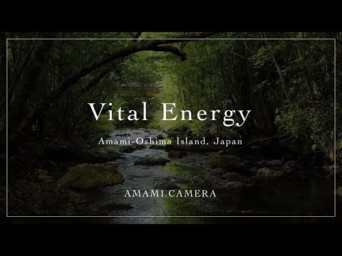 Vital Energy - 奄美大島（ドローン空撮 4K）