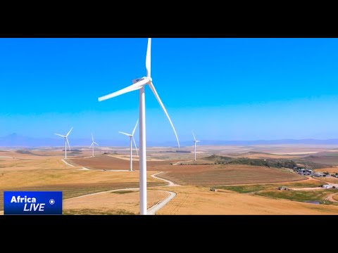 Solar and wind surge to meet global energy demand in 2025