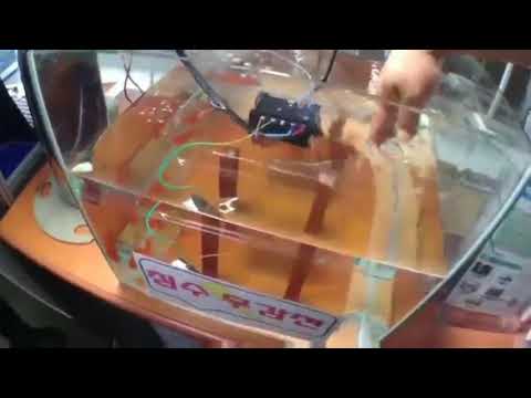 5 მაისი, 2019