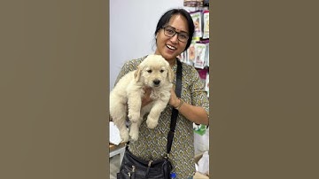 Celebrities and politicians client dairies #Danny #trendingshorts #trending