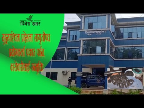 सुदूरपश्चिम प्रदेशमा लागुऔषध प्रयोगकर्ता पक्राउ पर्छन, कारोबारीलाई उन्मुक्ति