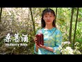 摘了一筐桑果儿酿酒，顺便做个桑葚果汁，这就是夏天的味道|Mulberry wine