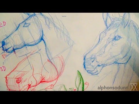 Video: How To Draw Horses