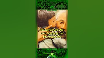 NHỮNG NHÀ LÃNH ĐẠO NƯỚC NGOÀI LUÔN CÚI ĐẦU KHI GẶP BÁC… #bảocócvlog #bacho #bảocóc #baococvlogboss