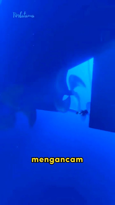 Beware of Ship Propellers