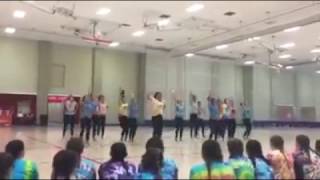 WTHS Varsity Devilettes Camp Routine 2016