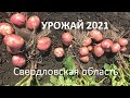 Скоро старт продаж свежего картофеля. Урожай 2021 из Свердловской области.