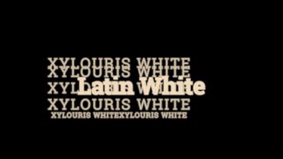 Xylouris White 'Latin White'