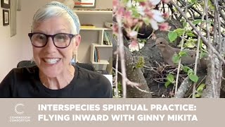 Flying Inward with Ginny Mikita - Interspecies Spiritual Practice