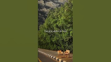 قرآن كريم راحة نفسية 💙 #الرحمن #المصحف #راحة_نفسية