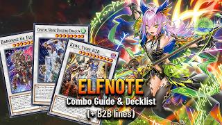 Elfnote Combo Guide (+ B2B lines) | Yu-Gi-Oh! Master Duel Net Worth