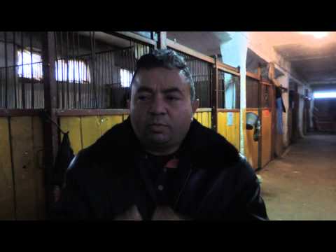 PHON.ro- Interviu Ulise- despre Hipodrom Ploiesti