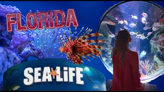 SEA LIFE Orlando Aquarium Florida 🐠