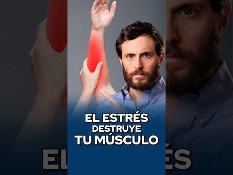 El ESTRÉS DESTRUYE tu MÚSCULO