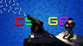 *WORST AIM EVER* CSGO Funny Moments