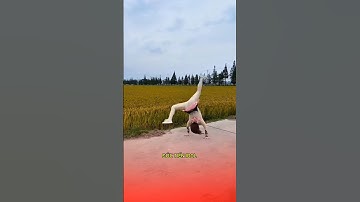 Màn biểu diễn nghệ thuật ngẫu hứng của cô gái trẻ điêu luyện như người chuyên nghiệp #bieudien