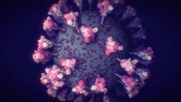 Peering under the hood of SARS CoV 2