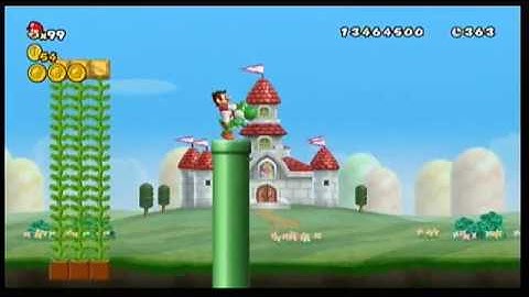 NSMBWii Custom Level