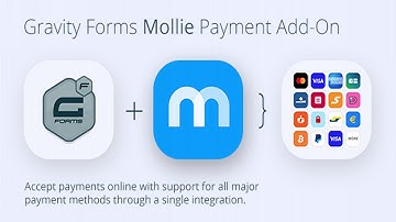Gravity Forms Mollie Payment Add-On | Codecanyon Scripts and Snippets