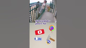 #cat #sehar #kitten #tutorialfilter #zarooratrishta #marriageproposals #viralvideos #shorts#hunjun09