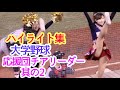 2019年度　大学野球　応援団チアリーダー　ハイライト集　その2