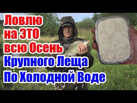 Лови Всю Осень! Крупного Леща. Насадка на Леща Карася по Холодной Воде