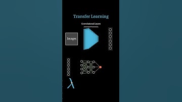 Transfer Learning #finetuning #transferlearning